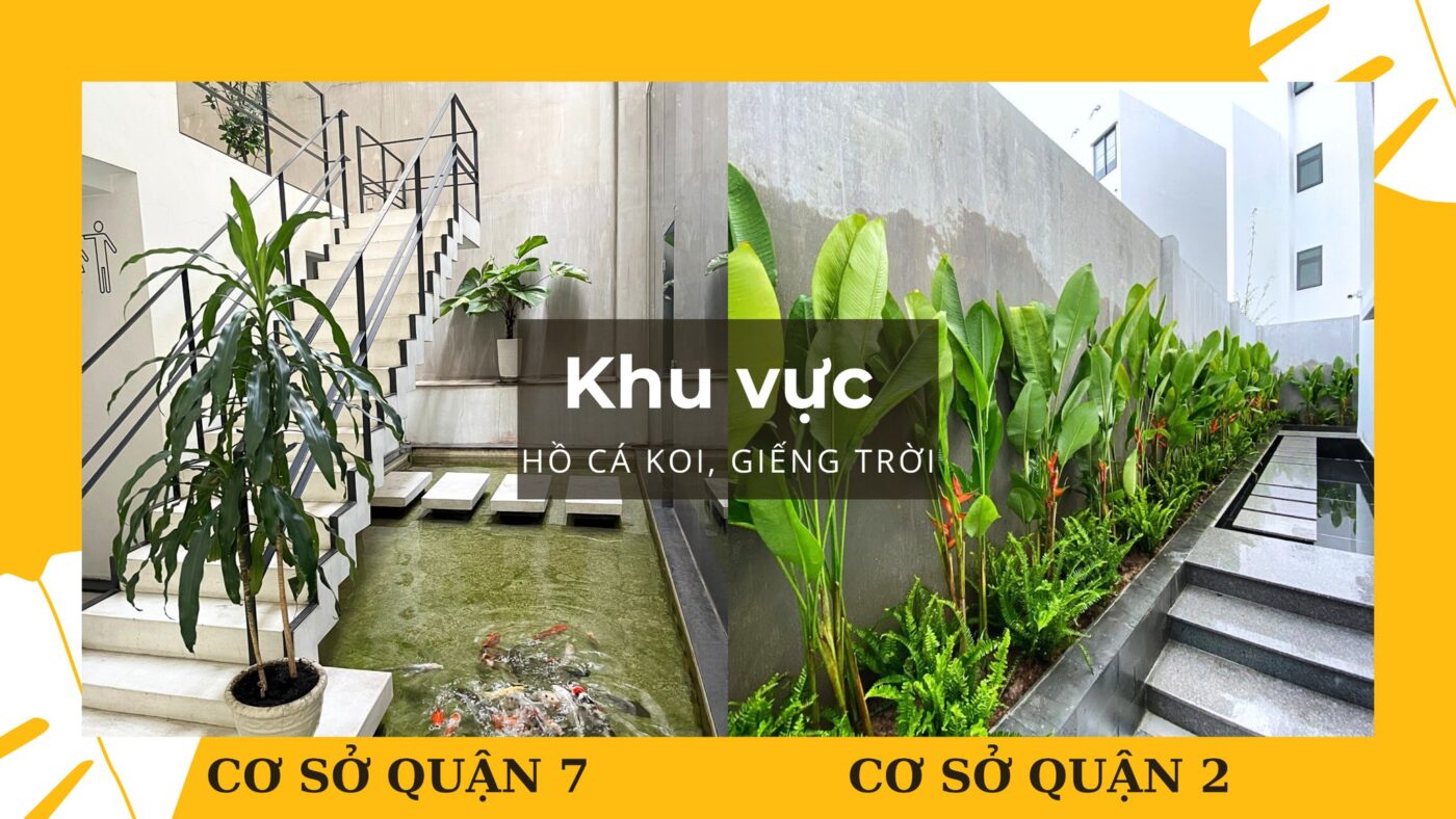 nha khoa uy tín quận 2